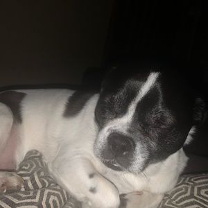 Meet your Posher, Roe